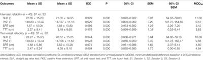 Psychometric Properties of Four Common Clinical Tests for Assessing Hamstring Flexibility in Young Adults